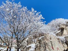 -泰山风景名胜区