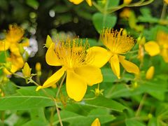 -芜湖方特东方神画