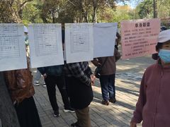 -西苑公园
