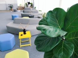 -OM瑜伽教练培训学院