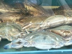 -小铜锣湾海鲜家常菜馆(河西店)