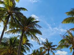 -海南分界洲岛旅游区