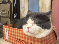 -小时光咖啡馆(开森度假森林店)