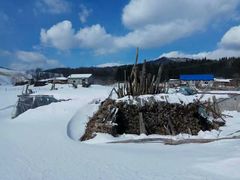 -雪谷