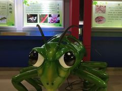 -上海昆虫博物馆