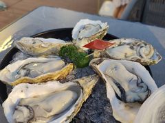 -蚝大仙横琴生蚝火锅(日月贝店)