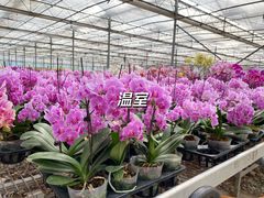 -北京益泉花园酒店