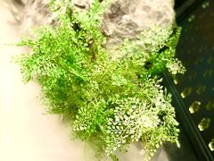 门面-辛香汇·现炒川菜(淮海路百盛店)