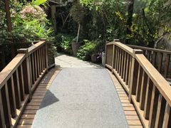 -王捌小院(红花坡店)