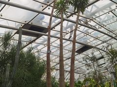 -北京植物园-展览温室