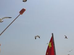 -海驴岛(荣成市)