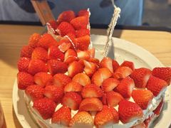 -O'eat Blossom&Pelican(深圳首店)