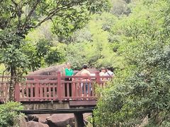 -广州白江湖森林公园