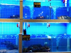 海鲜区-大厨的餐厅(曾厝垵总店)