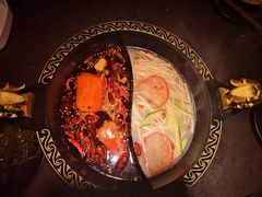 油鸳鸯锅-锅说大脸毛肚重庆老火锅(佐阾店)