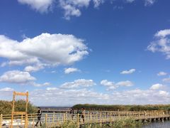 -乌梁素海景区