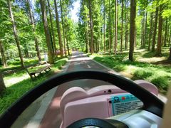 -黄海国家森林公园