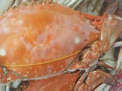 -杨记海鲜楼(三门黑金冠店)