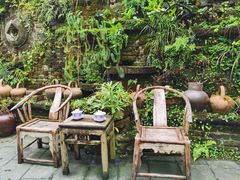 -青城甲(青城山店)