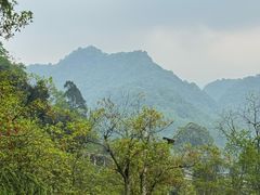 -青城山