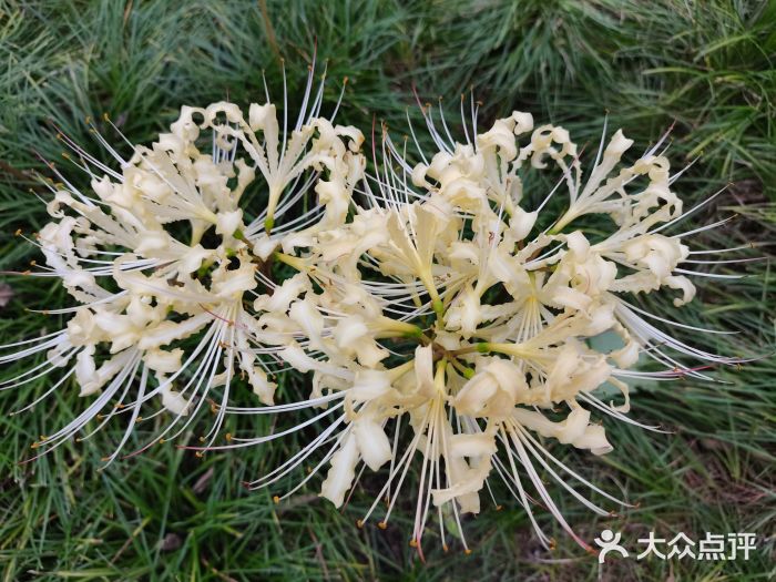 白塘生态植物园图片