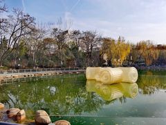 -莲湖公园