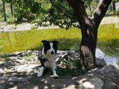 -沕沕水生态风景区