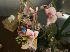 -施奈儿.洗头頭療.按摩SPA.采耳(上梅林店)