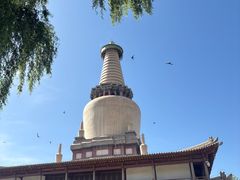 -张掖大佛寺景区