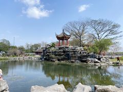 -顺峰山公园
