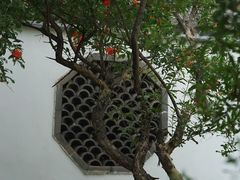 -杨家埠民间艺术大观园