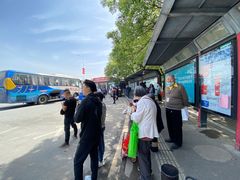 -瑶湖郊野森林公园