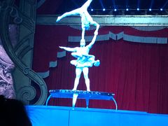 -珠海横琴长隆《卡卡虎奇遇记》