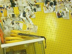 -勇气斑马·巴西柔术&跆拳道(浦东三林店)