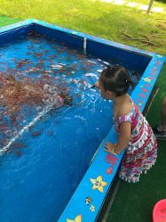 -萌宠亲子动物乐园(槐房万达店)