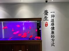 -金蚁康•经络调理•肩颈按摩(万达金街店)