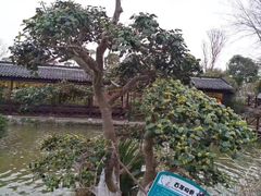 -武汉紫薇都市田园