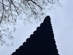 -何园