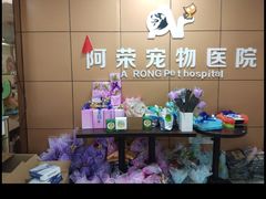 -阿荣24H宠物医院·综合型转诊中心·CT·核磁影像中心