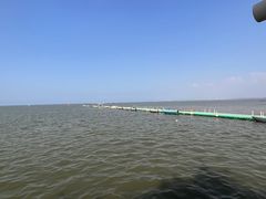 -兰坡海鲜市场