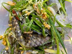 -无影脚佛山陈氏盲公丸始创店(飞鸿街店)