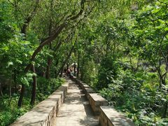 -碓臼峪自然风景区