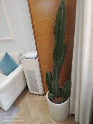 -HEYAN荷妍专业脱毛连锁机构