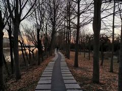 -鉴湖国家城市湿地公园