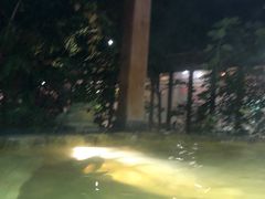 -汉拿山温泉度假酒店