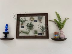 -伊藤洋华堂(高新店)