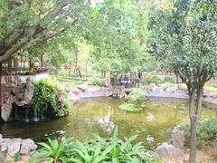 -九龙寨城公园