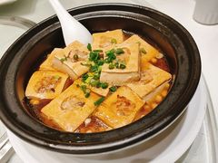 红烧豆腐煲-新海利(北岭店)