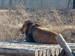 -石家庄市动物园