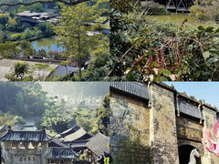 -普洱太阳河森林公园